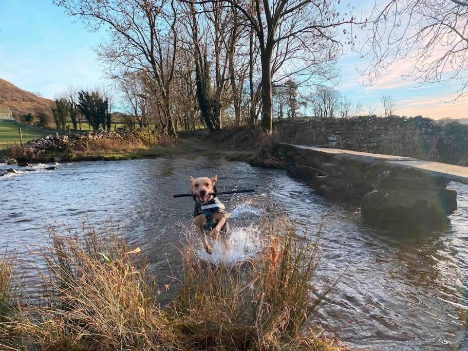 Charming Dog-Friendly Yorkshire Dales Cottage, Austwick ภายนอก รูปภาพ