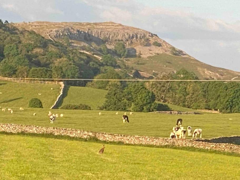 Charming Dog-Friendly Yorkshire Dales Cottage, Austwick ภายนอก รูปภาพ